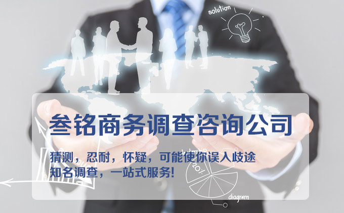成都商务调查公司
